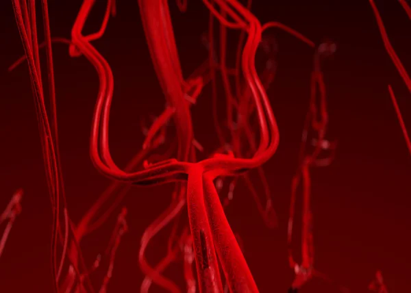 Artere sanguine — Fotografie, imagine de stoc