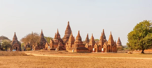 Panorama bagan pagodadan sürü içinde