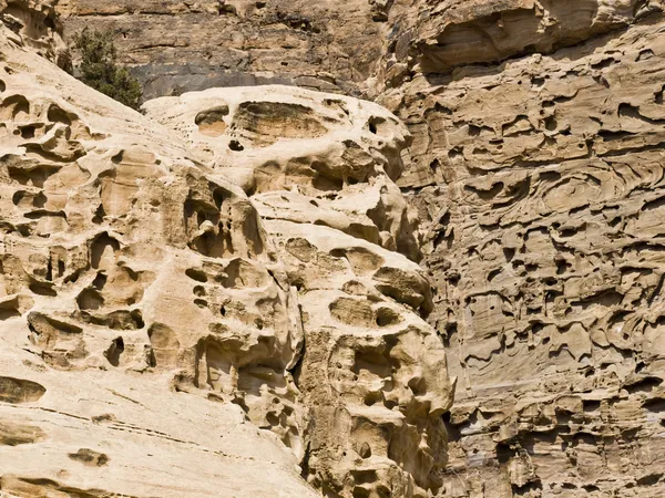 Texturas de Petra — Fotografia de Stock