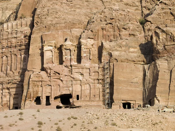 Petra Jordan — Stock Photo, Image