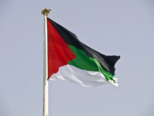 Arab forradalom zászló — Stock Fotó