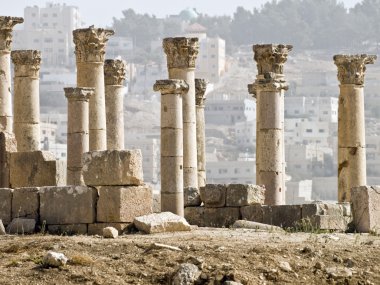Cordo, jerash,