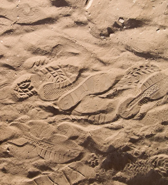 Footprints in sand — Stock Photo, Image