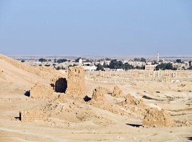 Palmyra