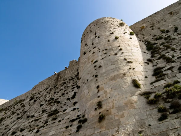 Krak des Chevaliers — Stok fotoğraf