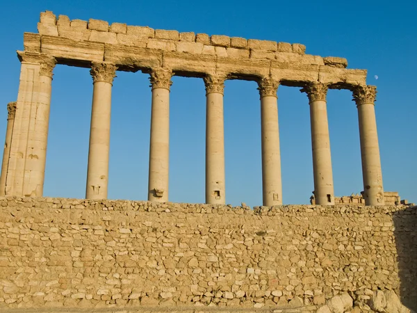 Zonsondergang in palmyra — Stockfoto