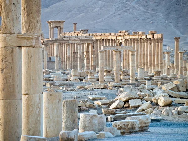 Solnedgång i palmyra — Stockfoto