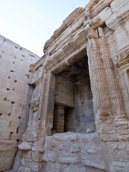 Günbatımında palmyra — Stok fotoğraf