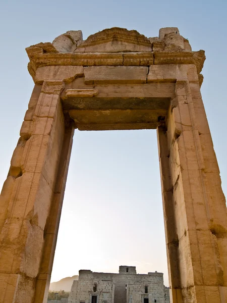 Puesta de sol en Palmira — Foto de Stock