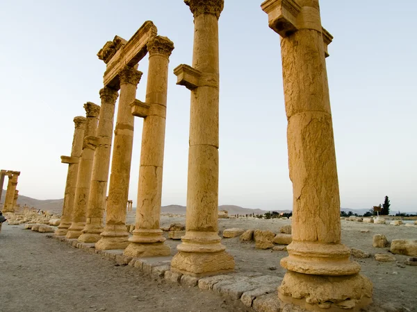 Coucher de soleil à Palmyre — Photo