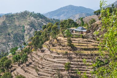 chamba ilçe himachal pradesh Hindistan