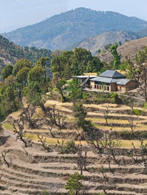 chamba ilçe himachal pradesh Hindistan