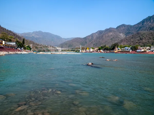 Panorama görünüm kutsal Ganj Nehri — Stok fotoğraf