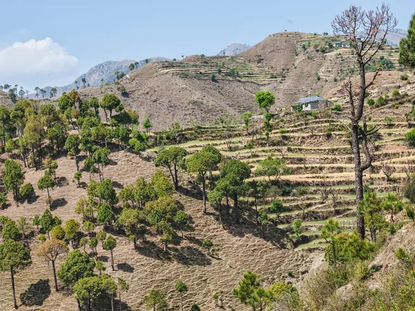 Chamba περιοχή himachal pradesh Ινδία — Φωτογραφία Αρχείου