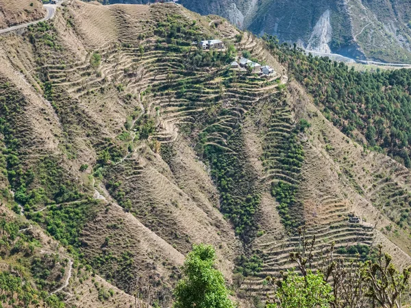 Chamba ilçe himachal pradesh Hindistan — Stok fotoğraf