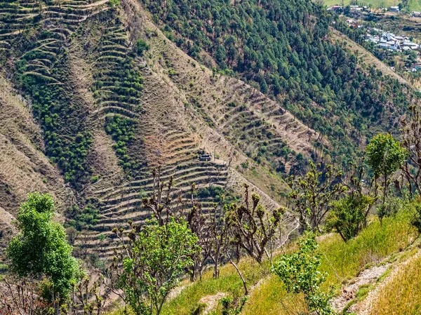 Chamba district Himachal Pradesh India — Stock Photo, Image