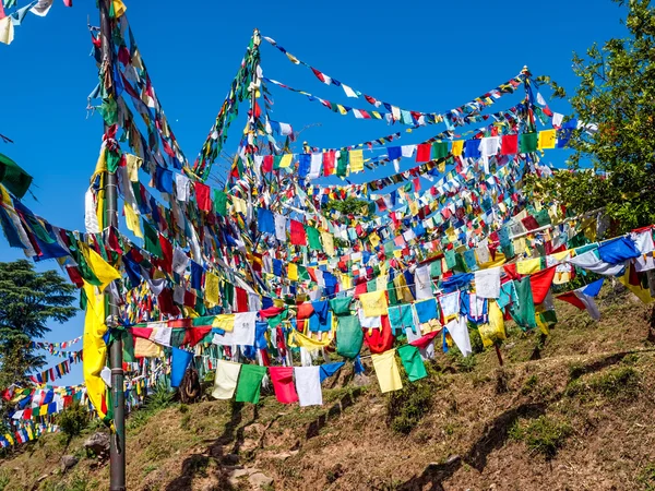 Wzgórze z flagi modlitewne, Dharamsali — Zdjęcie stockowe