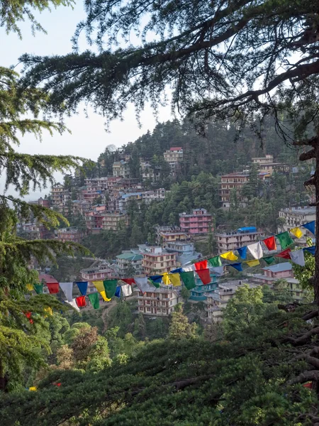 Collina con bandiere di preghiera, Dharamsala — Foto Stock