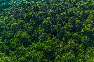 Istrian peyzaj - Hırvatistan