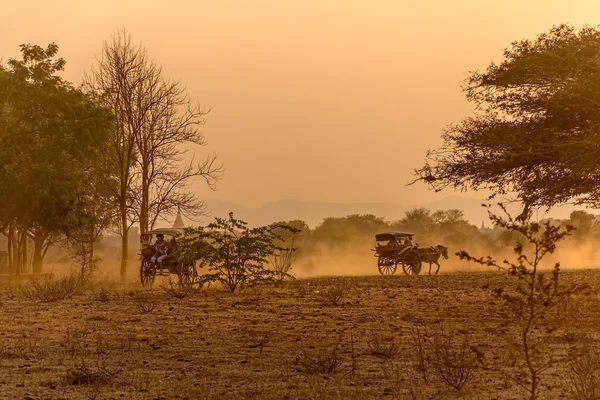 Sonnenuntergang in Bagan mit einem Pferdewagen — Stockfoto