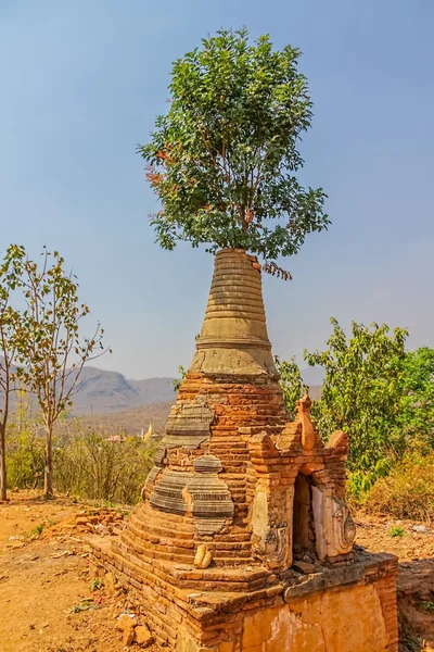 * in, Inle Lake — Stock fotografie