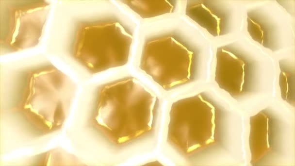 Peine de abeja — Vídeo de stock