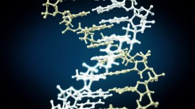DNA yapısı molekülü