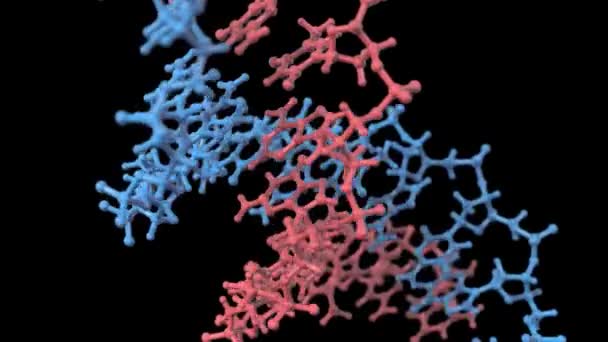 molécule de structure d'ADN