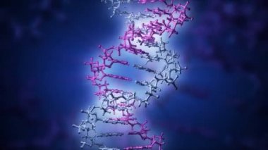 DNA yapısı molekül 3d rendering.