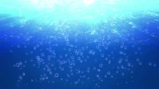 Scène sous-marine fond — Video
