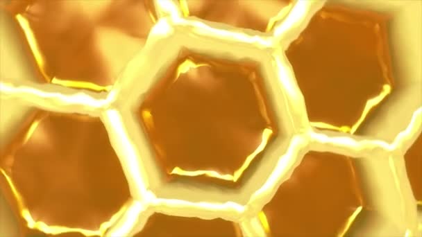 Honeycomb — Stock Video