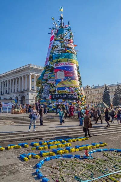 Euromaidan επανάσταση στο Κίεβο Royalty Free Φωτογραφίες Αρχείου