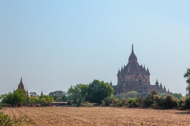 Tapınak ve stupas içinde bagan Panoraması