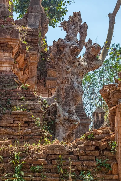 Indein, zarośnięte jezioro inle pagoda — Zdjęcie stockowe