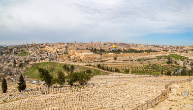Jerusalem panorama