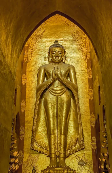 Standing Buddha Kassapa South facing — Stock Photo, Image