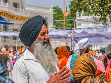 Altın Tapınağı'nda Sih devotee