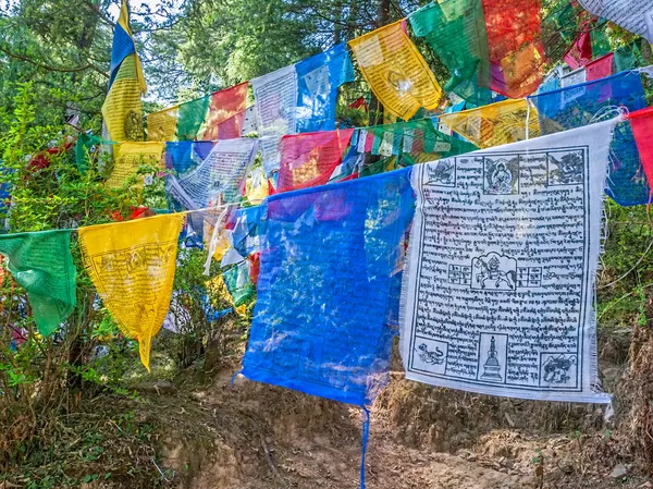 Prayer flags — Stock Photo, Image