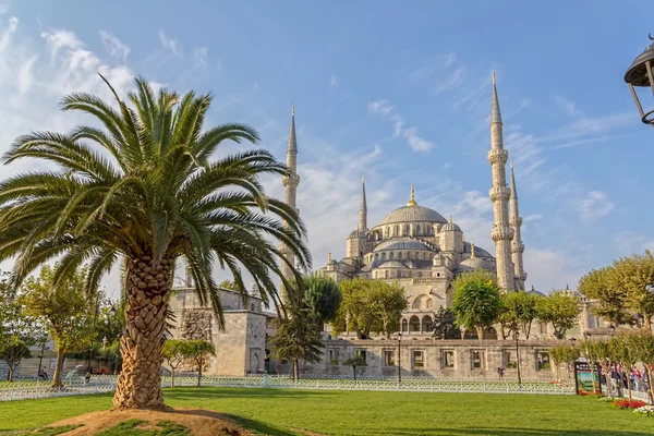 Blue mosque Istanbul — Stock Photo, Image