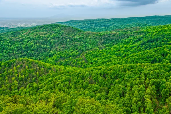 Hügel und Wälder — Stockfoto