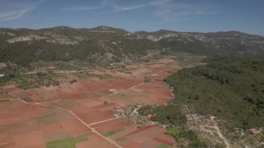 Bahar zamanı Korcula adasındaki üzüm bağının hava görüntüsü.