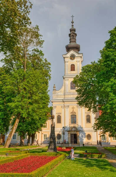 Cattedrale di Bjelovar di Teresa d'Avila vista dal parco centrale — Foto Stock