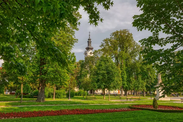 Καθεδρικός ναός Bjelovar της Teresa της Avila θέα από το κεντρικό πάρκο — Φωτογραφία Αρχείου