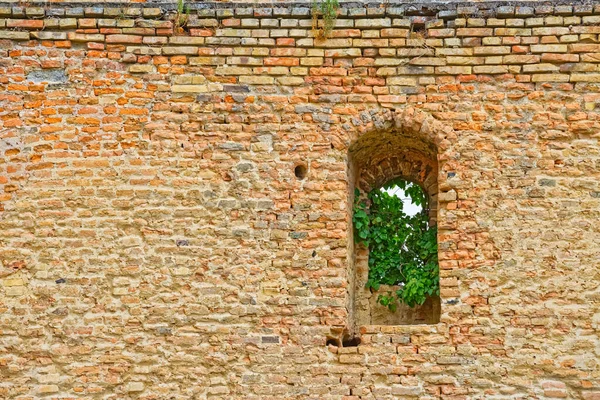 Детали оборонительной стены замка Илок на северо-востоке Хорватии — стоковое фото