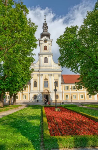 Bjelovar Cathedral of Teresa of Avila view from the central park — Stock Photo, Image