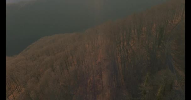 Les na kopci Sljeme nad Záhřebem, Chorvatsko — Stock video