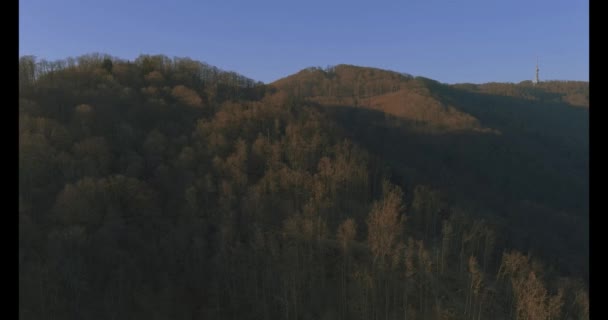 Las na wzgórzu Sljeme nad Zagrzebiem, Chorwacja — Wideo stockowe