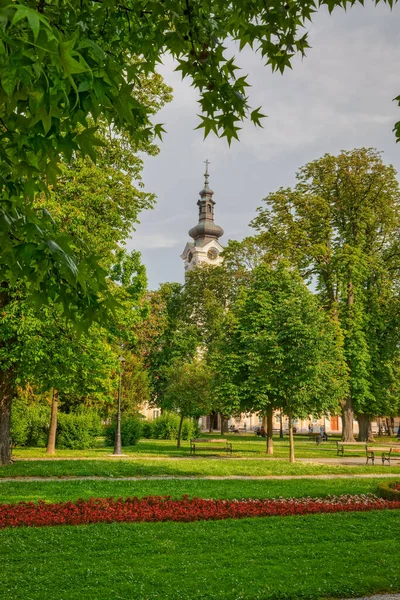 Bjelovarská katedrála z Avily pohled z centrálního parku — Stock fotografie