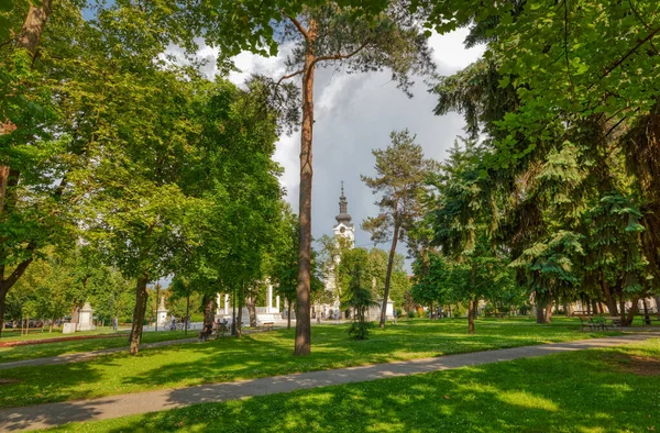 Bjelovarská katedrála z Avily pohled z centrálního parku — Stock fotografie