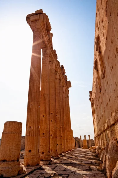 贝尔柱Palmyra寺 — 图库照片